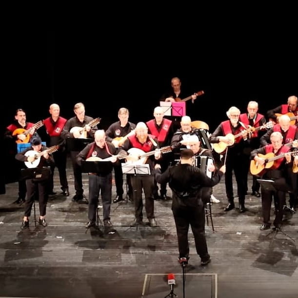 contratar orquesta de cuerda sección